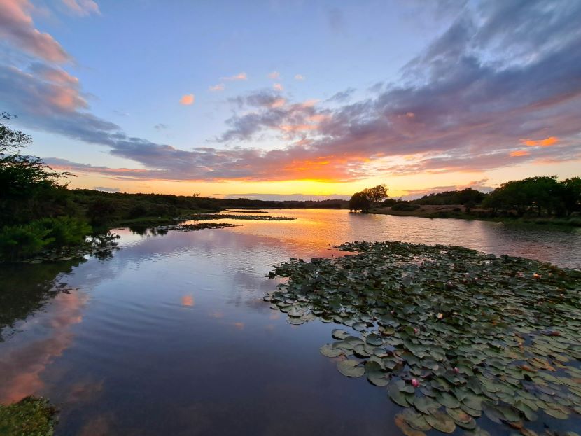 Hatchet Pond